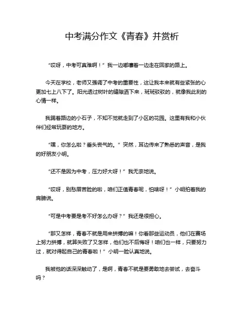 中考满分作文《青春》并赏析