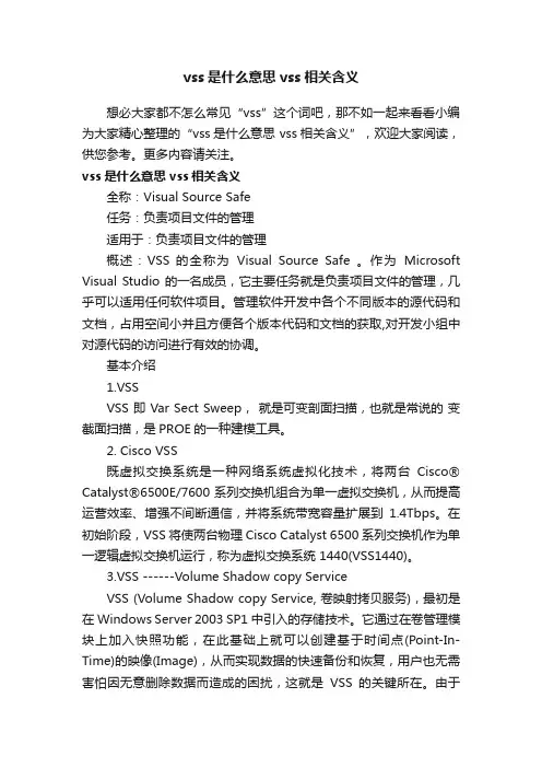 vss是什么意思vss相关含义