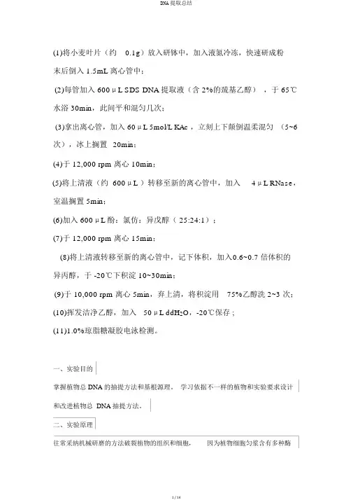 DNA提取总结