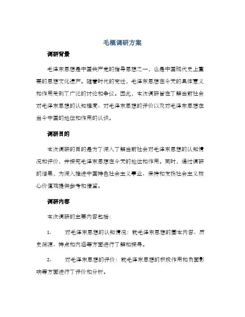 毛概调研方案