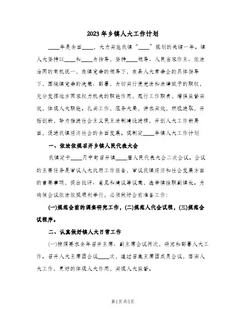 2023年乡镇人大工作计划(2篇)