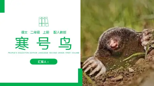 《寒号鸟》人教版二年级上册语文PPT课件
