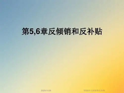 第5,6章反倾销和反补贴