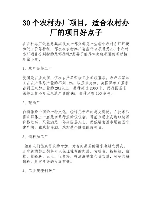 30个农村办厂项目,适合农村办厂的项目好点子