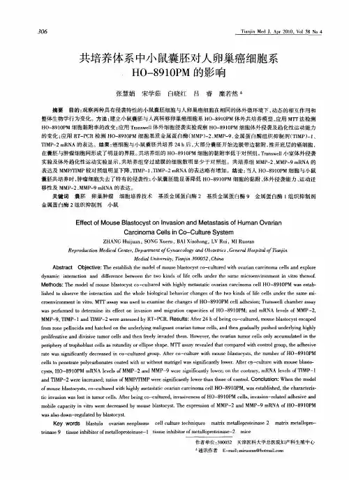 共培养体系中小鼠囊胚对人卵巢癌细胞系HO-8910PM的影响