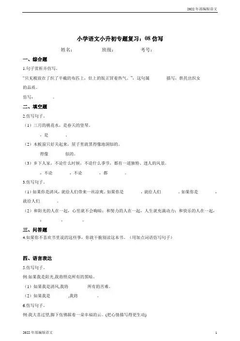 统编版小学语文小升初专题复习：08仿写(含答案)