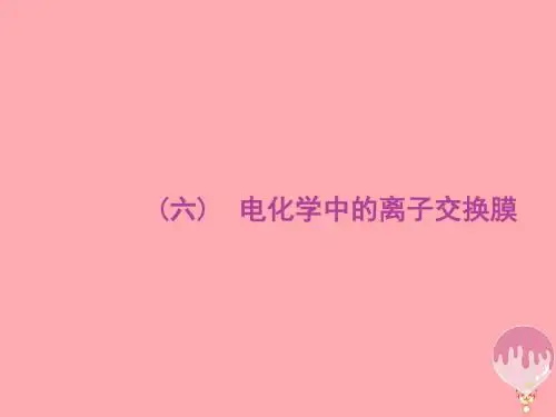 高考化学大一轮复习 学科素养专项提升6 电化学中的离