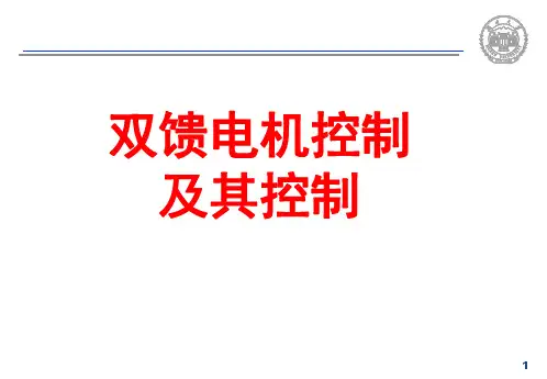 双馈电机控制 PPT课件