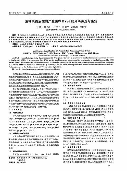 生物表面活性剂产生菌株BYS6的分离筛选与鉴定