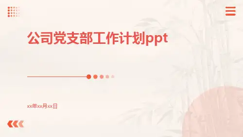公司党支部工作计划ppt
