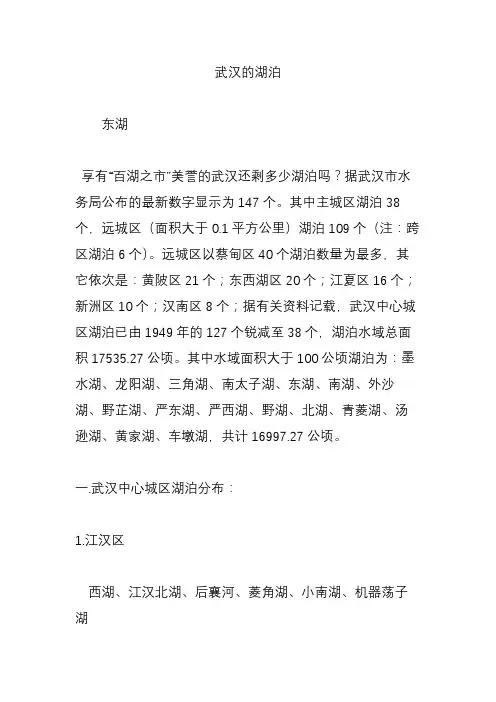 武汉的湖泊