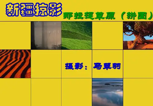 【幻灯】新疆掠影—那拉提草原
