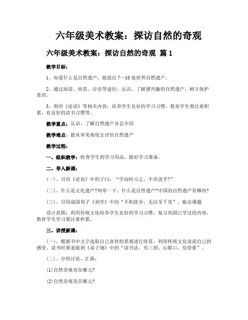 六年级美术教案探访自然的奇观