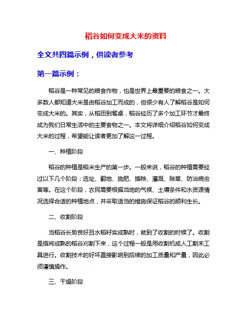稻谷如何变成大米的资料