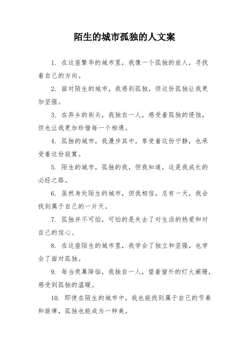 陌生的城市孤独的人文案