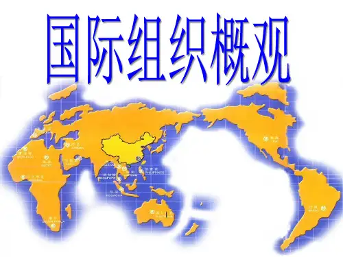 高中政治人教版选修三国家和国际组织常识专题1.4 国际组织概观 课件(共20张PPT)