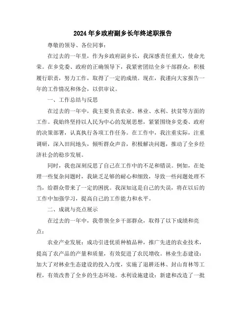 2024年乡政府副乡长年终述职报告