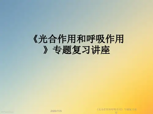 《光合作用和呼吸作用》专题复习讲座