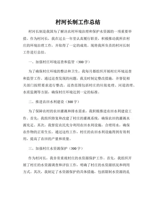 村河长制工作总结