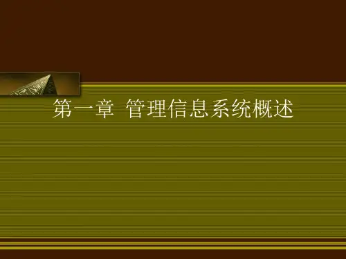 管理信息系统概述ppt课件