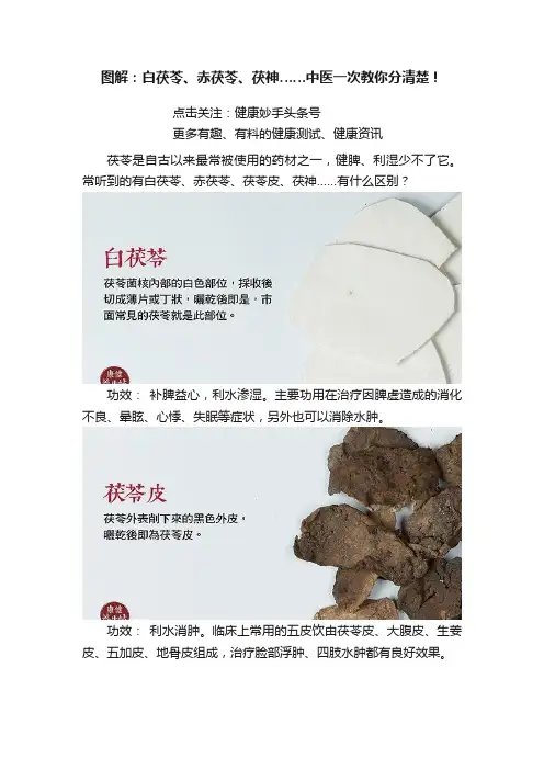 图解：白茯苓、赤茯苓、茯神……中医一次教你分清楚！