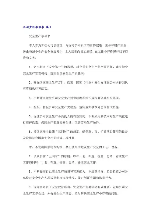 公司责任承诺书9篇