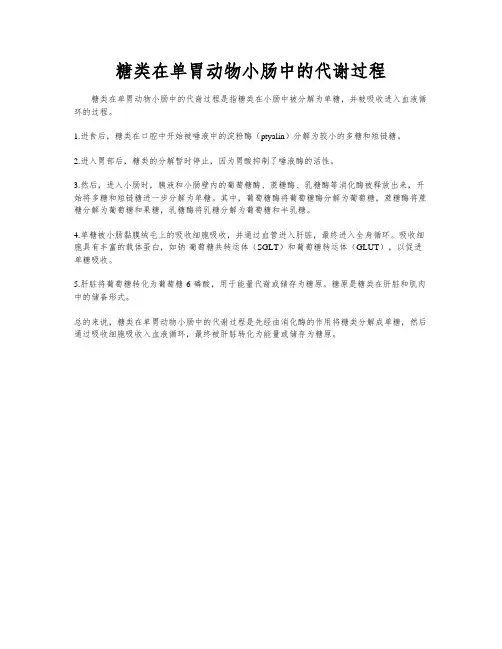 糖类在单胃动物小肠中的代谢过程