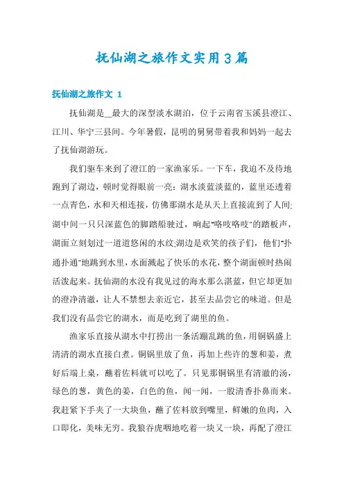 抚仙湖之旅作文实用3篇