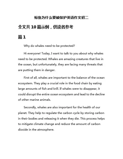 鲸鱼为什么要被保护英语作文初二