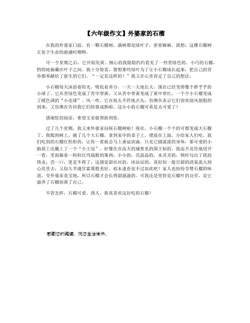 【六年级作文】外婆家的石榴