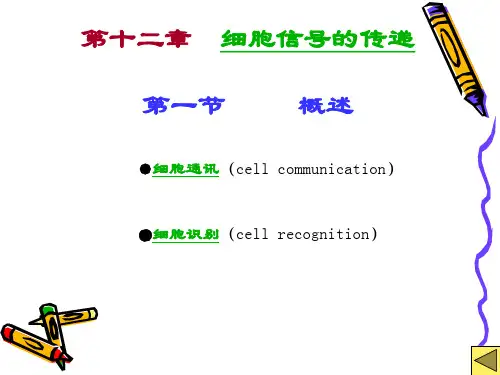 第十二章  细胞信息传递