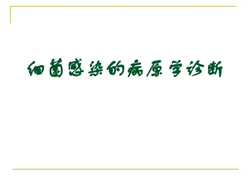 细菌感染的病原学诊断