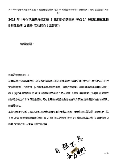 中考化学真题分类汇编2我们身边的物质考点14酸碱盐和氧化物5具体物质2硫酸实验探究(无答案)(20