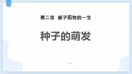 《种子的萌发》PPT精品课件
