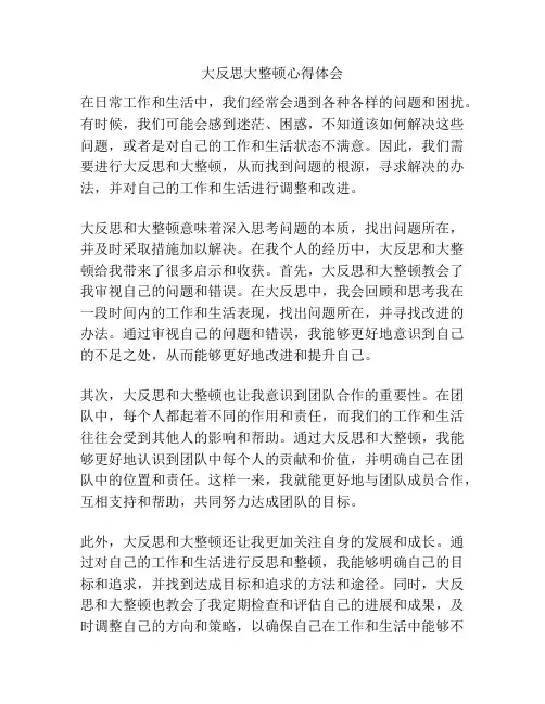 大反思大整顿心得体会