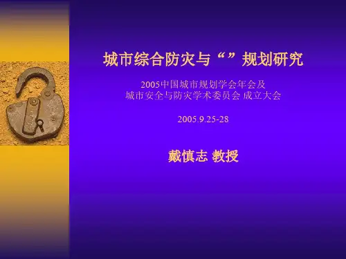 城市综合防灾与安全城市规划研究PPT课件