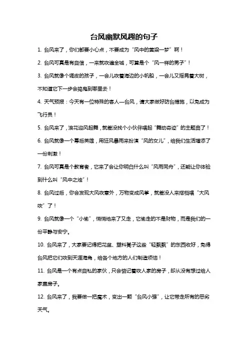 台风幽默风趣的句子
