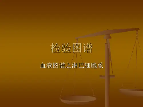血液图谱之淋巴细胞系