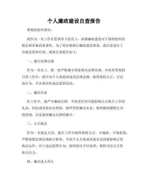 个人廉政建设自查报告