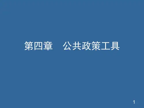 2024年-公共政策工具优秀PPT(精编)