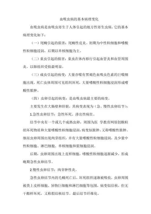 血吸虫病的基本病理变化