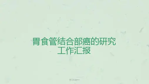 SOX治疗贲门癌ppt课件