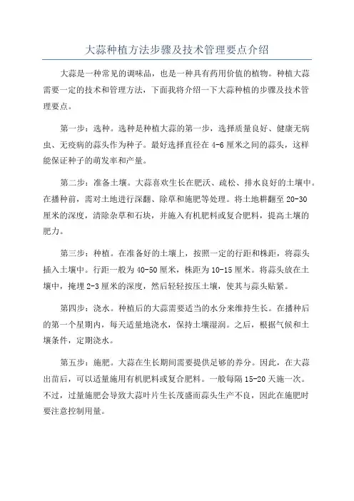 大蒜种植方法步骤及技术管理要点介绍