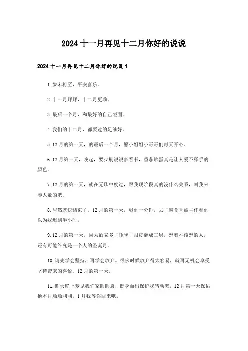 2024十一月再见十二月你好的说说_4