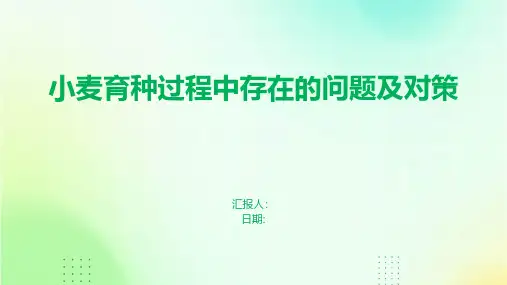 小麦育种过程中存在的问题及对策
