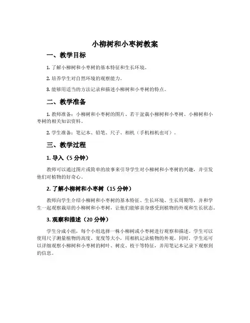 《小柳树和小枣树》教案