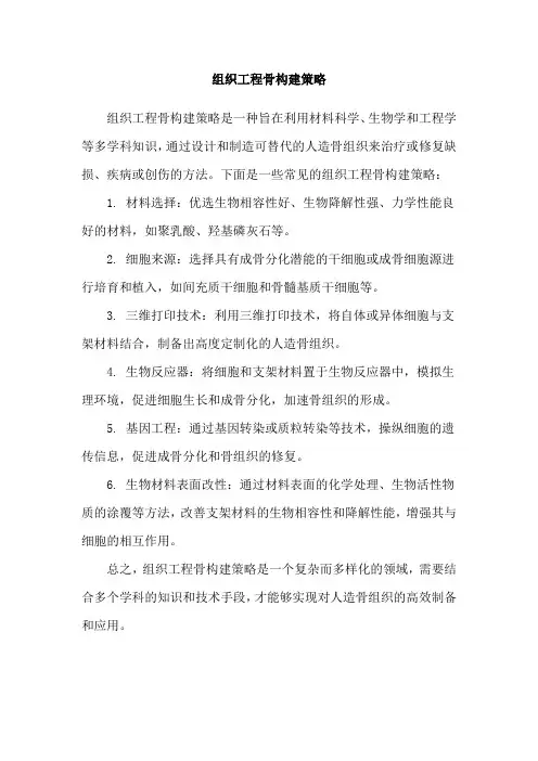 组织工程骨构建策略