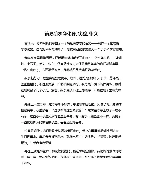 简易脏水净化器,实验,作文