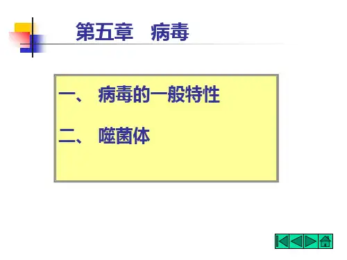 第五章非细胞生物病毒的形态结构与功能ppt课件