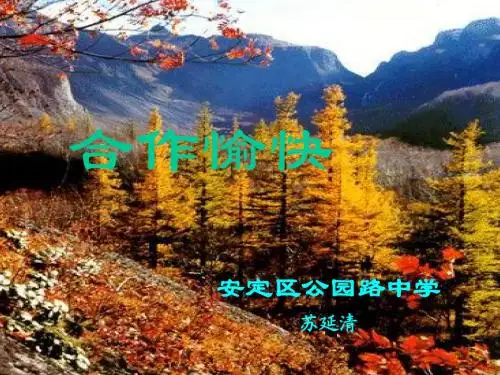 青藏地区